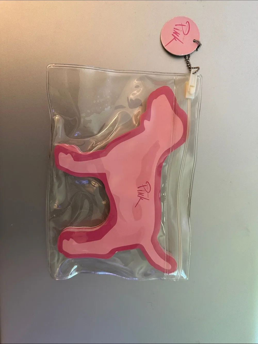 PINK Victoria's Secret Vintage Clear Vinyl Pouch with Pink Dog sticky notes